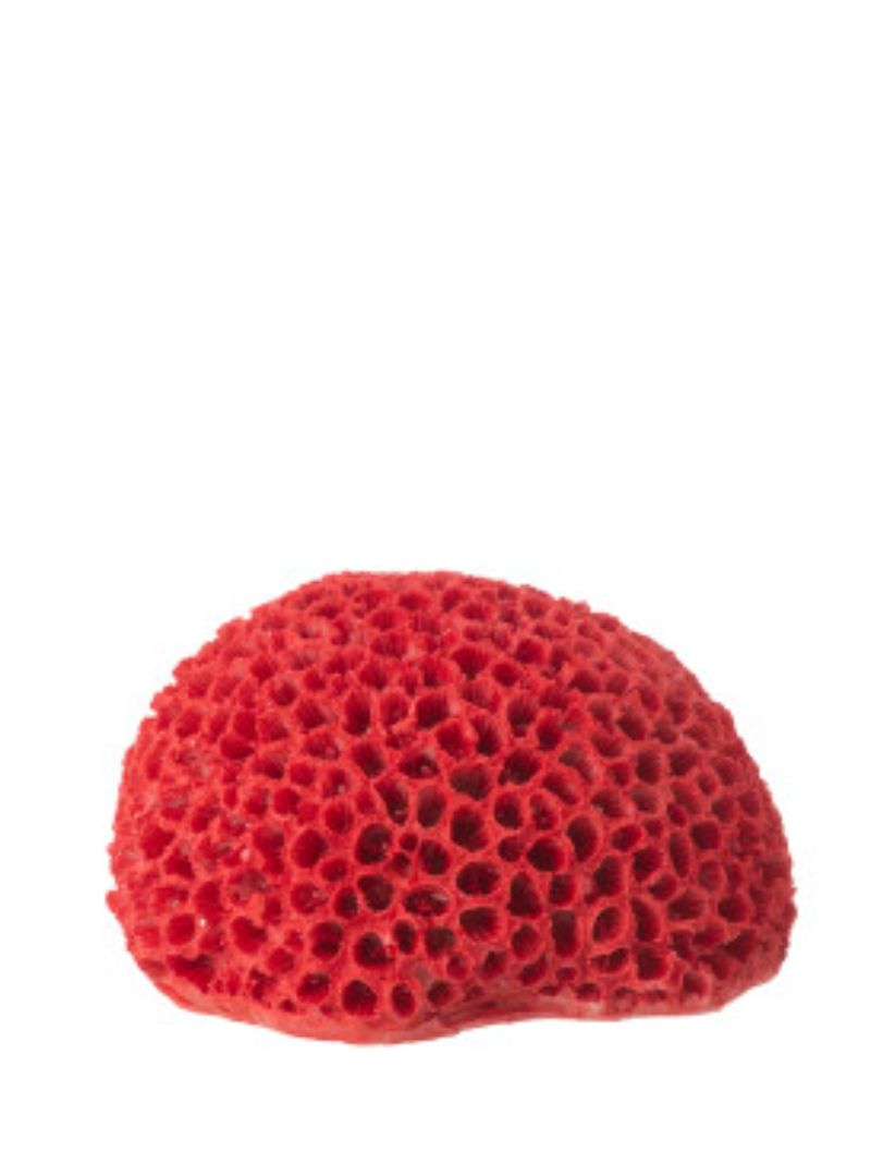 Coral Polyresin Red Small