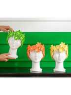 Flowerpot Lady