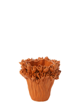 Vase Ambrosia Ceramic Orange