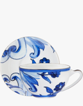 TEACUP AND TEA SAUCER WITH PLATINUM DECORATION