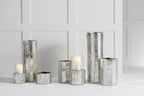 Flower Pot Ary Clay Silver
