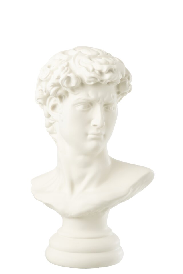 Bust David Resin White Large